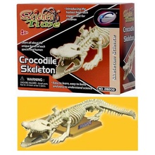 Наглядное пособие 'Скелет крокодила'